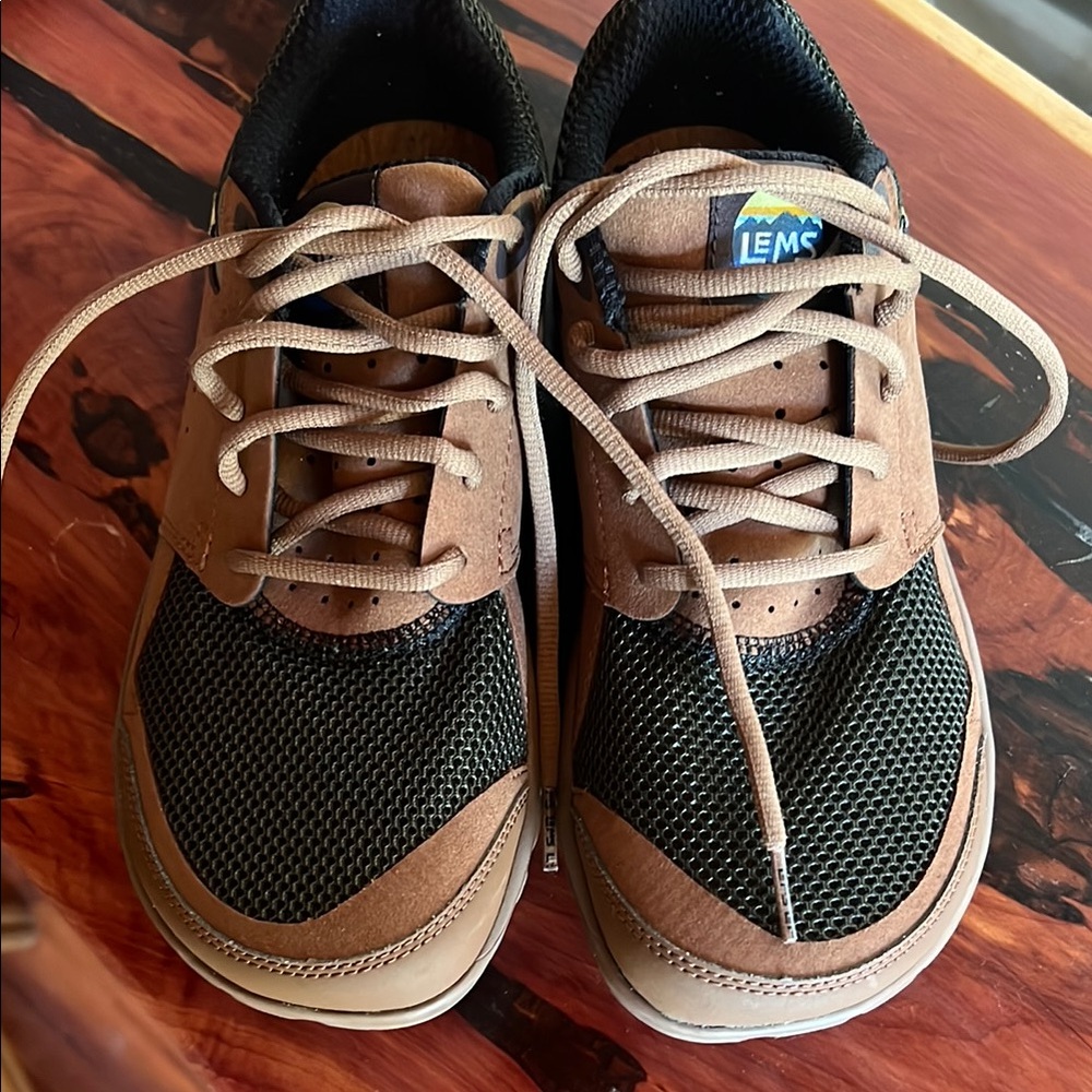 Men's Brown and Black Shoes